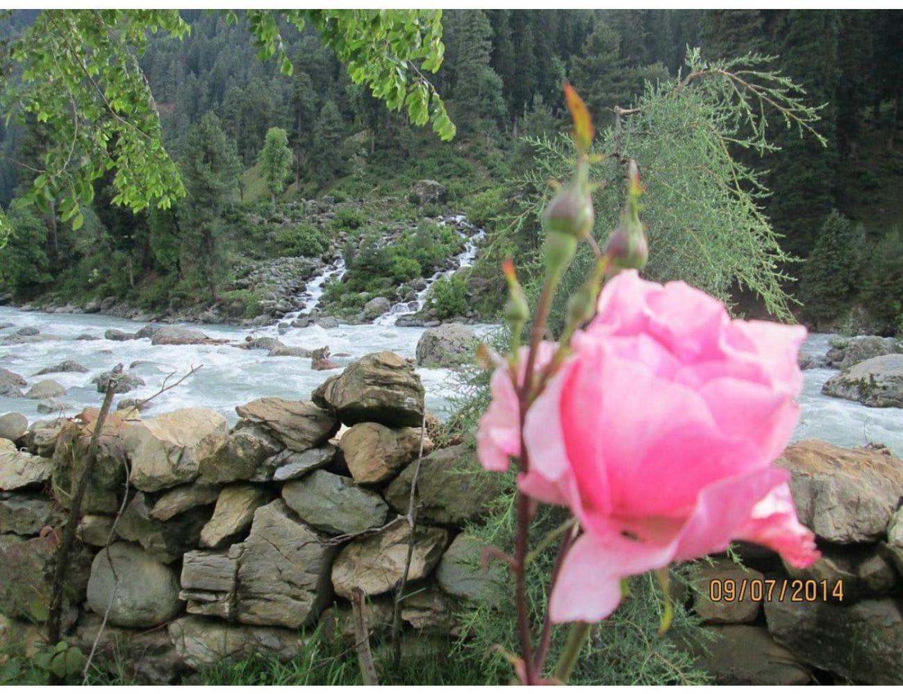 River Front Guest House Aru Pahalgam Islamabad 외부 사진